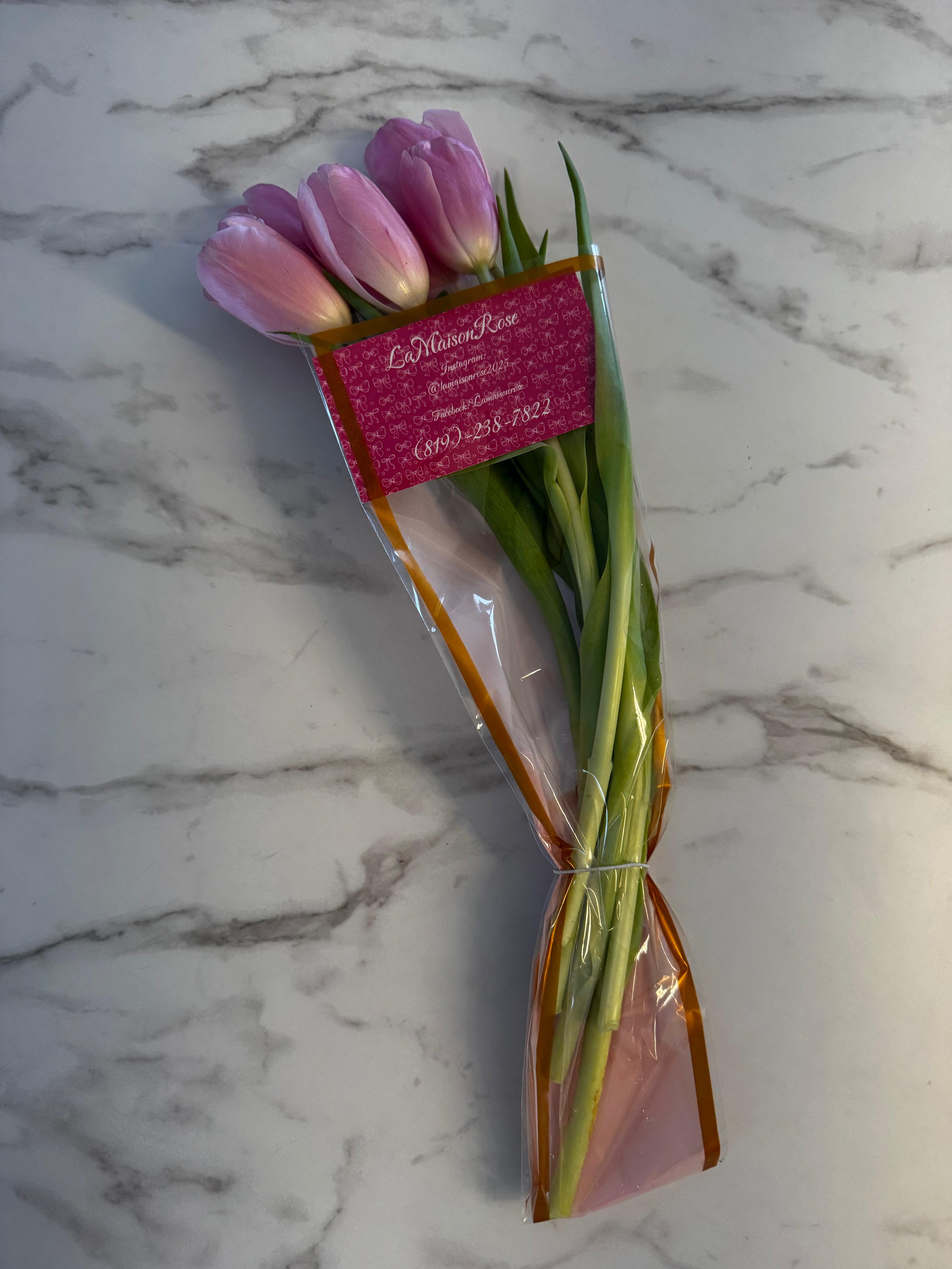 Tulipes Silver Cloud six tiges