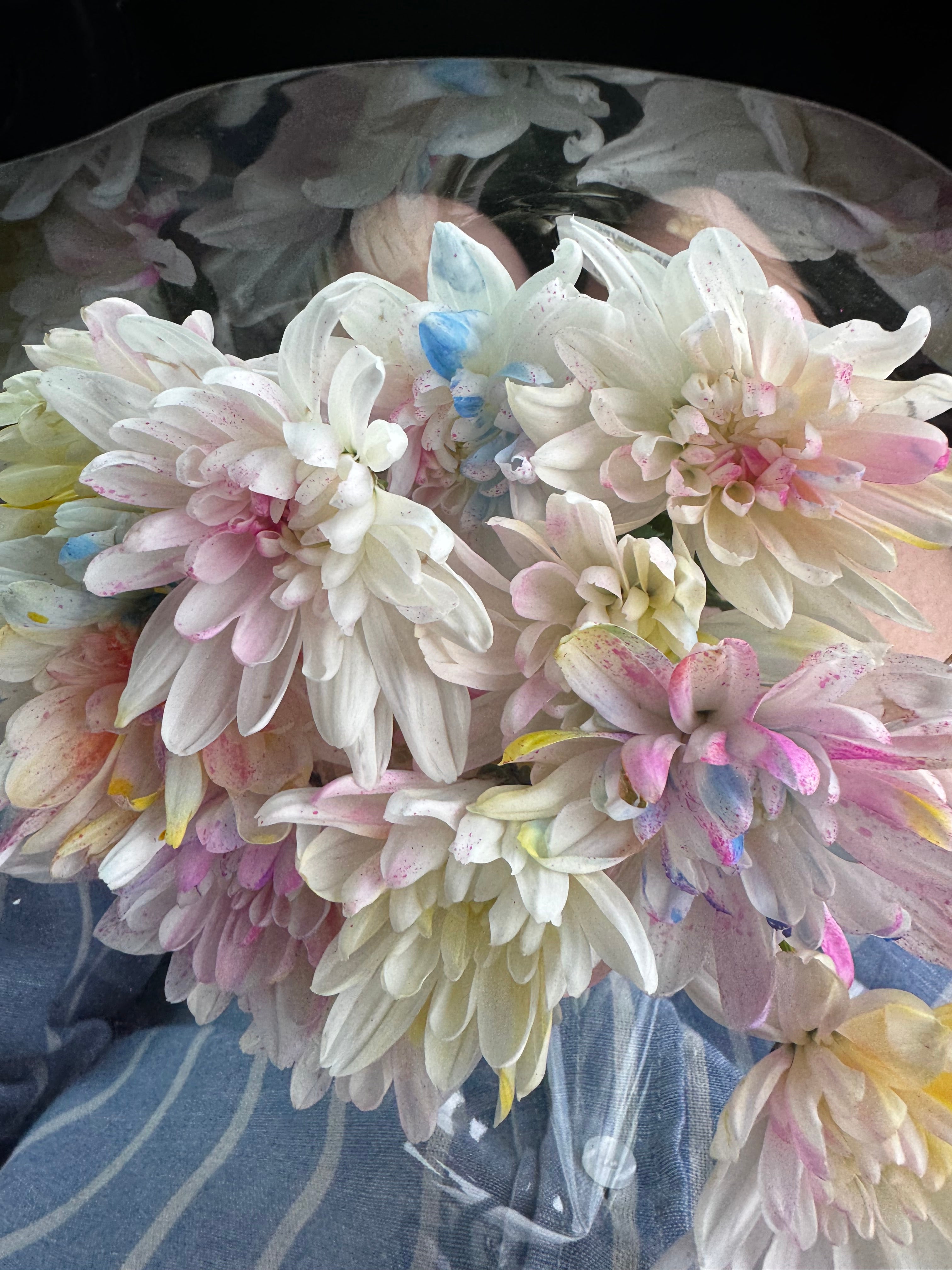Bouquet de 6 chrysanthèmes pastel: Cotton Candy Blooms
