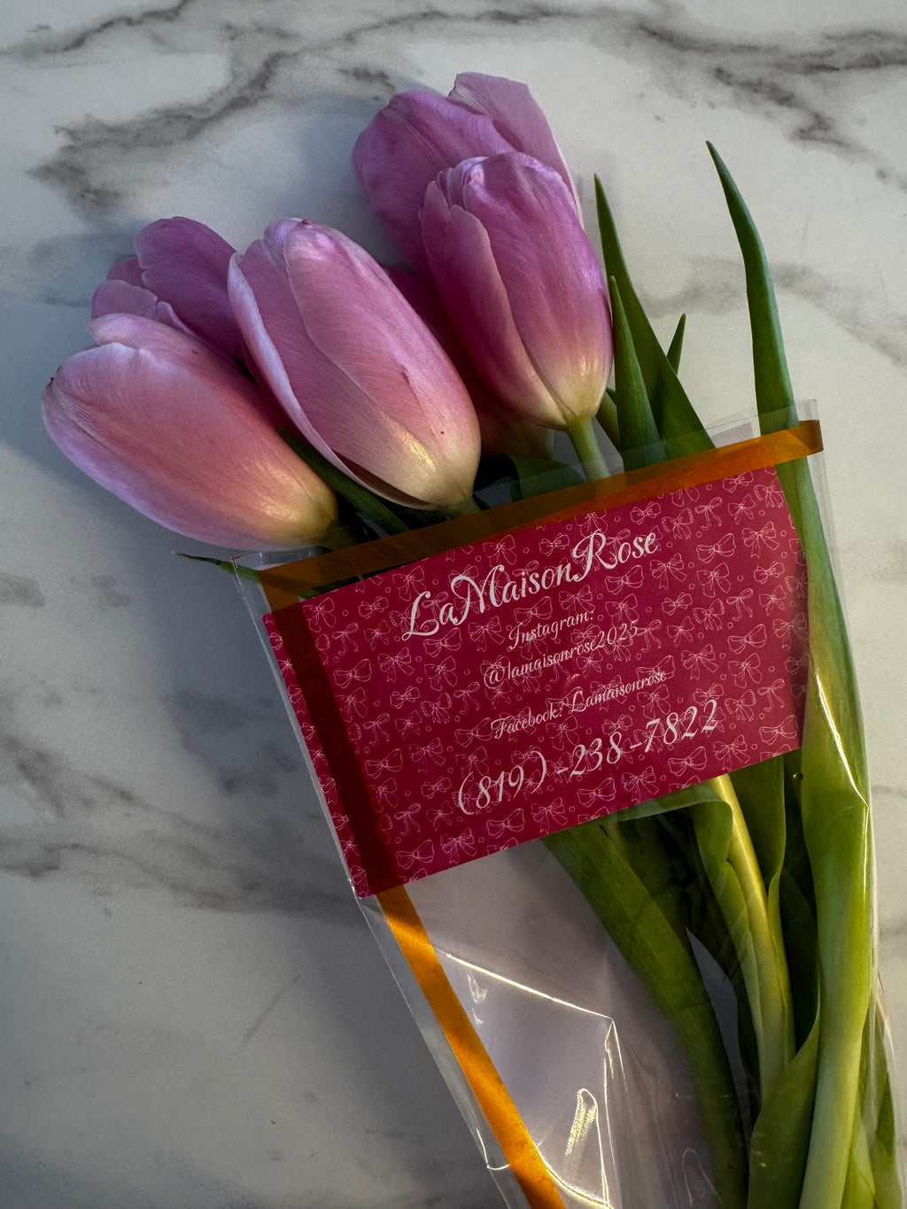 Tulipes Silver Cloud six tiges