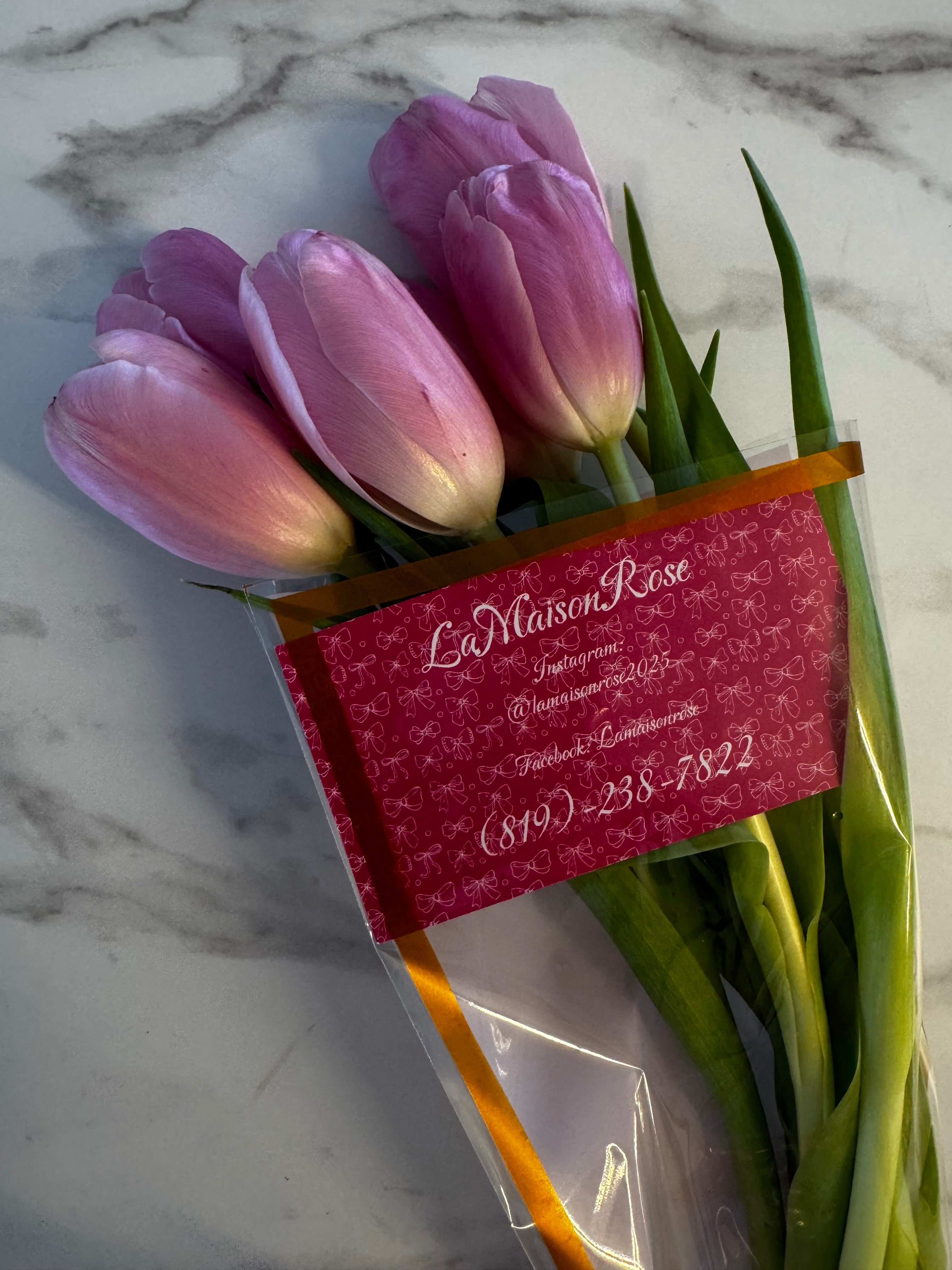 Tulipes Silver Cloud six tiges