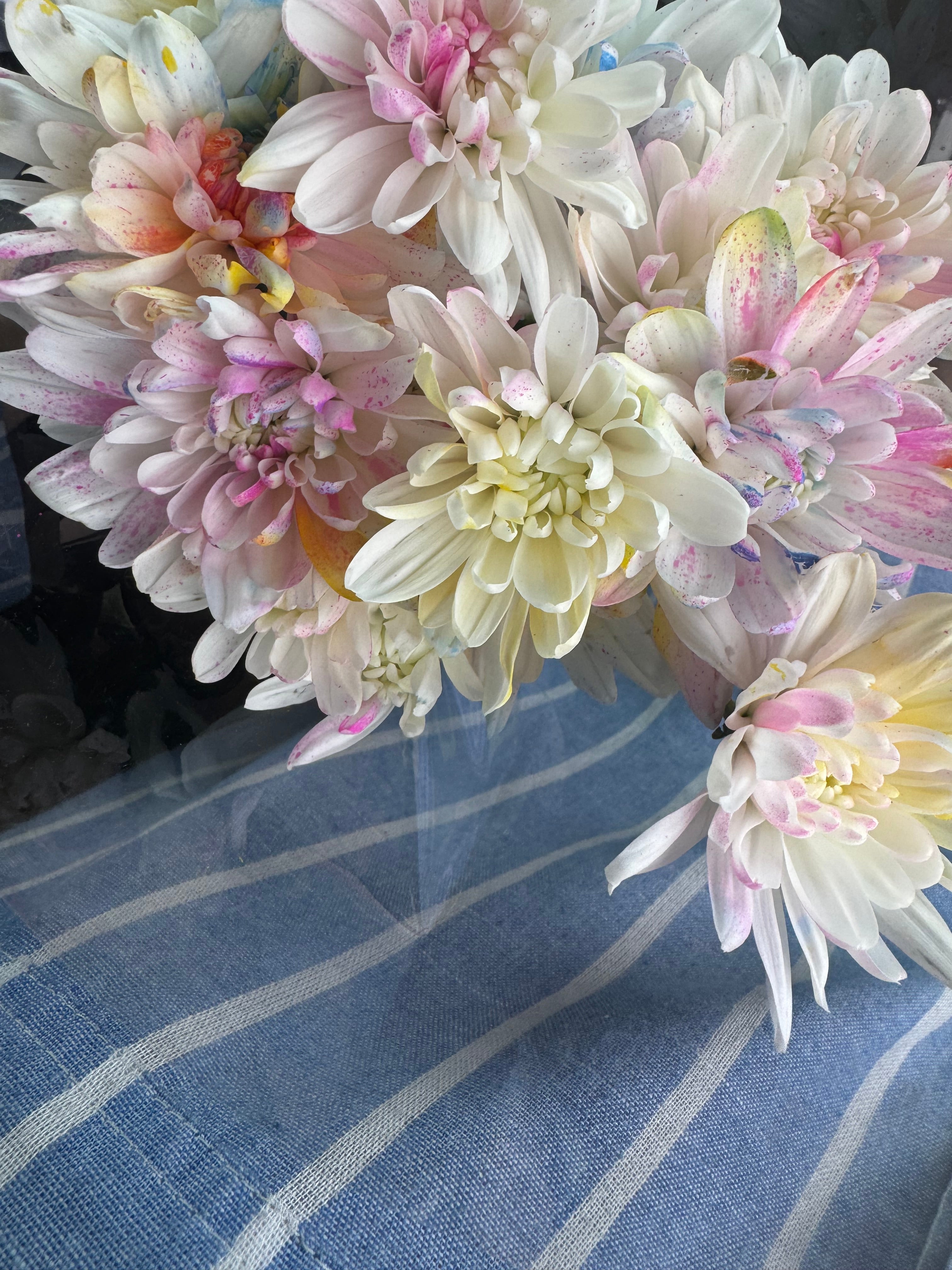 Bouquet de 6 chrysanthèmes pastel: Cotton Candy Blooms