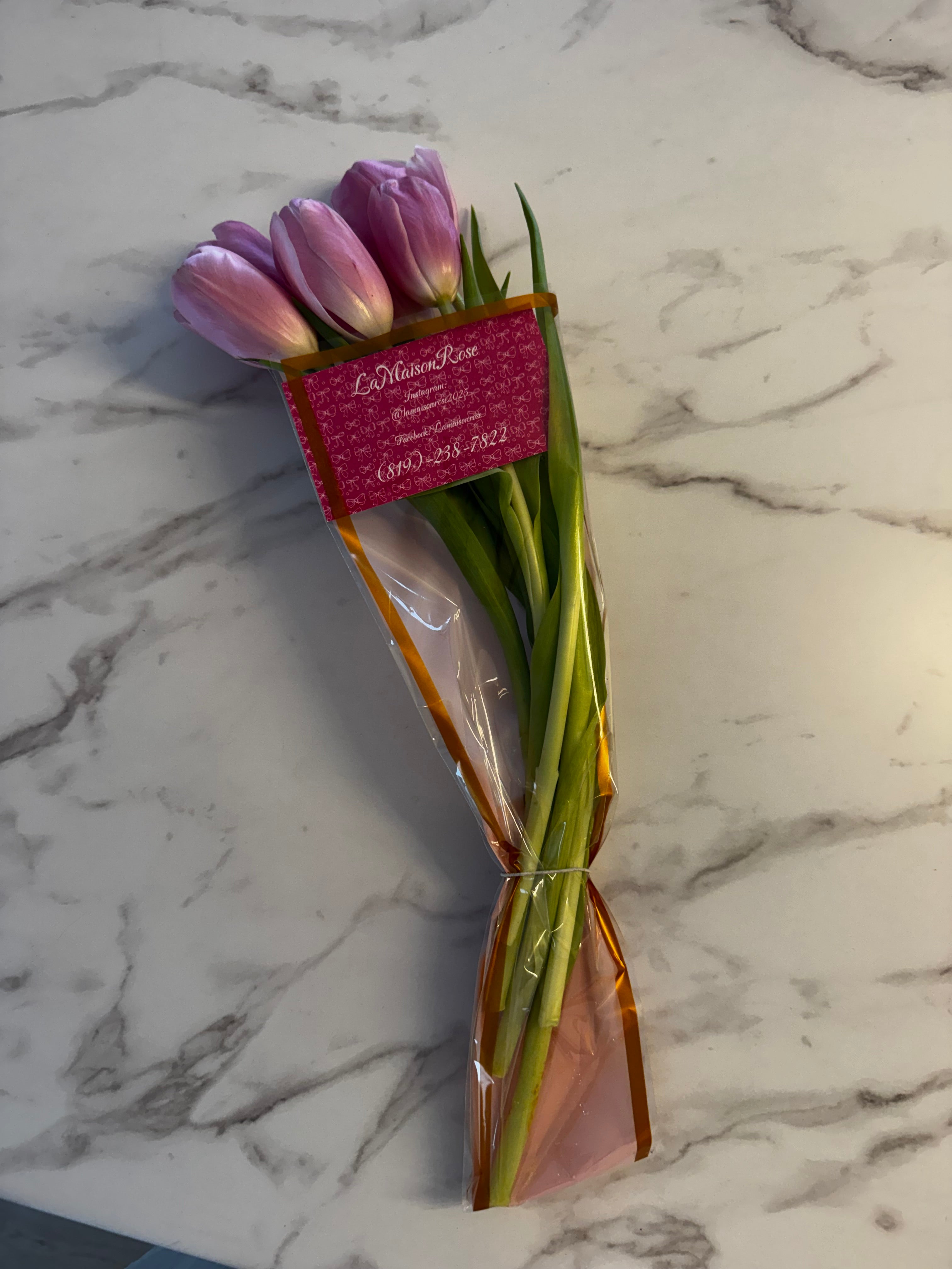 Tulipes Silver Cloud six tiges